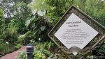 Potret Taman Anggrek Terbesar di Dunia