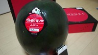 Semangka yang satu ini bernama Densuke. Buah ini berasal dari Jepang dan berharga fantastis. Satu buah Densuke terjual sebesar $121 (Rp 1.7). Ini karena hanya ada 100 buah Densuke dalam setahun. Foto: Istimewa