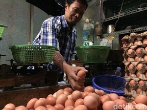 Harga Telur Ayam Naik, di Pasar Senen Tembus Rp 28.000/Kg