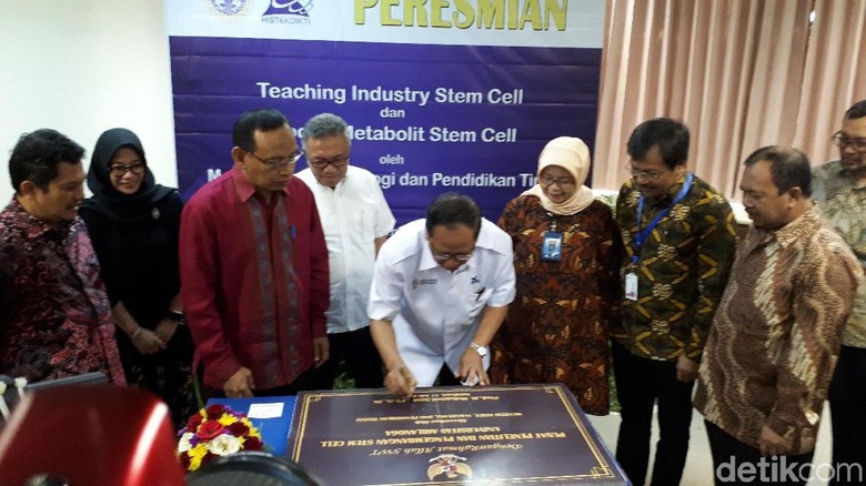 Ini Alasan Unair Kembangkan Sel Punca untuk Antiaging Ini Alasan Unair Kembangkan Sel Punca untuk Antiaging