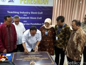 Ini Alasan Unair Kembangkan Sel Punca untuk Antiaging