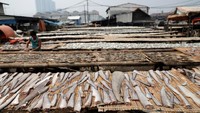 Kurangnya informasi dan kesadaran para nelayan bahwa hiu masuk dalam daftar hewan yang dilindungi membuat populasi ikan hiu di Indonesia terus menurun. Tak hanya itu, ancaman kepunahan ikan hiu pun akan mengganggu ekosistem laut karena ikan hiu menjadi bagian dari rantai makanan penyeimbang ekosistem di lautan. Beawiharta/Reuters.