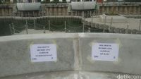 Jangan buang sampah sembarangan ya traveler (Randy/detikTravel)