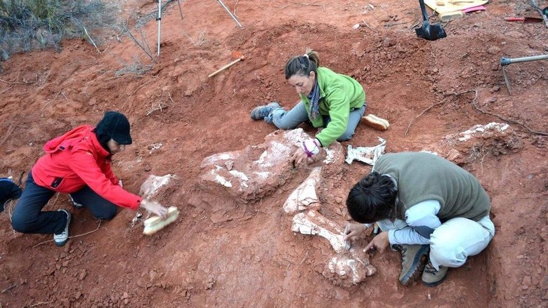 Ilmuwan Gali Fosil Dinosaurus Berusia 220 Juta Tahun di Argentina Ilmuwan Gali Fosil Dinosaurus Berusia 220 Juta Tahun di Argentina
