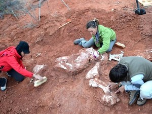 Fosil Dinosaurus Raksasa Pertama Ditemukan di Argentina