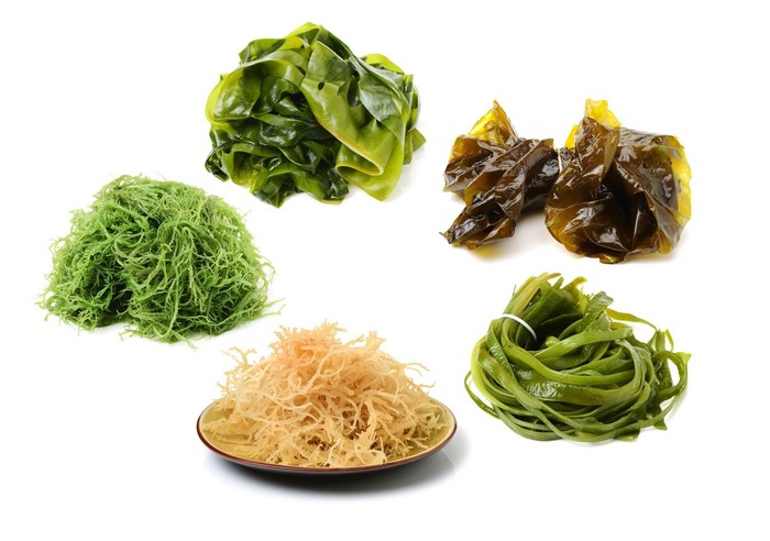 Foto: Istock Foto: Istock
