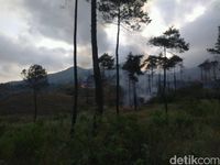Hutan Gunung Guntur di Garut Terbakar