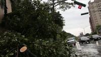 Sedangkan Taiwan sedang bersiap hadapi topan super Maria yang akan membawa hujan deras dan angin kencang. Topan super ini diprediksi akan memicu banjir bandang dan tanah longsor di Taiwan. Pohon-pohon di jalanan kota Taipei tumbang akibat terjangan topan tersebut sehingga membahayakan para pengguna jalan. Eason Lam/Reuters.