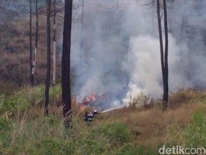 Cegah Kebakaran Hutan Kembali, BKSDA Patroli di Gunung Guntur
