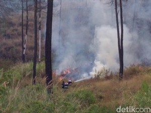 Cegah Kebakaran Hutan Kembali, BKSDA Patroli di Gunung Guntur
