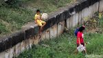 Mengintip Kehidupan Petani Sawi di Pinggir Banjir Kanal Timur