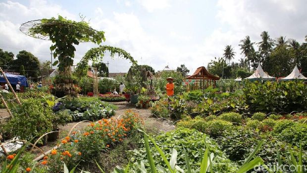 Lokasi Agro Expo dan pameran pertanian/