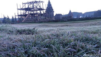 Foto: Dieng yang Membeku Diselimuti Es