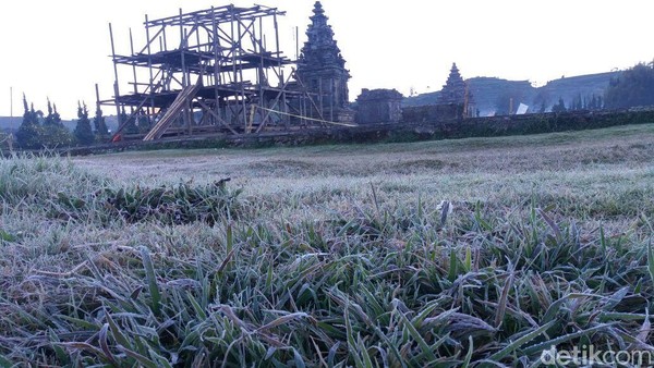 Foto: Dieng yang Membeku Diselimuti Es