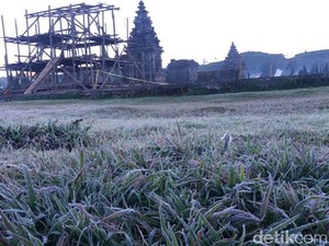 Berikut Ini Tips untuk Pengunjung Dieng Culture Festival