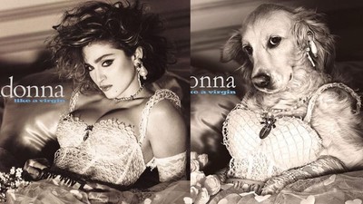 Lucu! Parodi Foto Ikonik Madonna