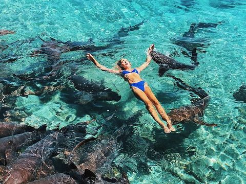 Demi Foto Instagramable di Laut, Selebgram Ini Digigit Hiu