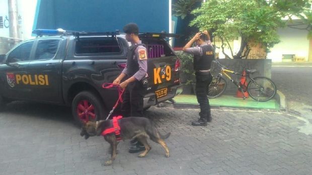 K9 diturunkan untuk melakukan sterilisasi