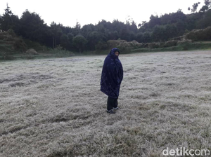 Beku! Suhu 3 Derajat Celsius dan Embun Es Kembali Muncul di Dieng