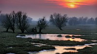 Kopacki rit Nature Park, menjanjikan petualangan alam liar di Kroasia (CNN Travel)