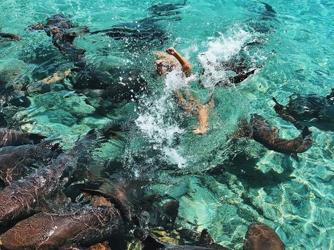 Demi Foto Instagramable di Laut, Selebgram Ini Digigit Hiu
