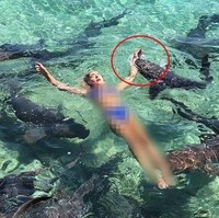 Ini Katarina Zarutskie, selebgram cantik dan seksi yang baru-baru ini jadi viral. Demi foto Intagramable, Katarina rela digigit hiu. Fotonya saat di gigit hiu di laut Bahama pun jadi viral.  Foto: Dok. Katarina Zarutskie via Fox News