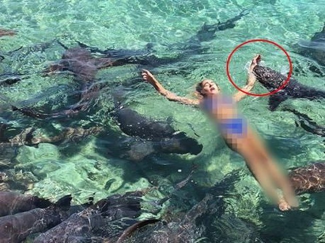 Ini Katarina Zarutskie, selebgram cantik dan seksi yang baru-baru ini jadi viral. Demi foto Intagramable, Katarina rela digigit hiu. Fotonya saat di gigit hiu di laut Bahama pun jadi viral.  Foto: Dok. Katarina Zarutskie via Fox News