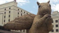 Di luar segala kritikan, tak sedikit yang menyebut tupai itu karya seni yang luar biasa. Banyak anak-anak di kota yang menikmati kehadiran tupai itu. (Foto: Dok. Paul Bartlett via BBC)
