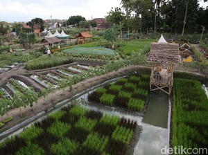 Akhir Pekan di Banyuwangi, Nikmati Keseruan Tiga Event Menarik Ini