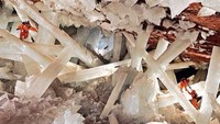 Gua Kristal di Chihuahua, Meksiko ditemukan oleh penambang untuk pertama kalinya di tahun 1910. Gua menakjubkan ini berisikan kristal selenite terbesar di dunia dengan panjang 12 meter dan diameter sebesar 4 meter. Suhu di Gua Kristal bisa mencapai 50-58 derajat Celcius dengan kelembaban 90-99%. Akibat suhu yang panas, gua ini relatif belum dijelajahi. Istimewa/Pinterest.com