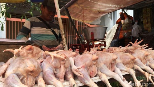 Pedagang ayam di Mojokerto