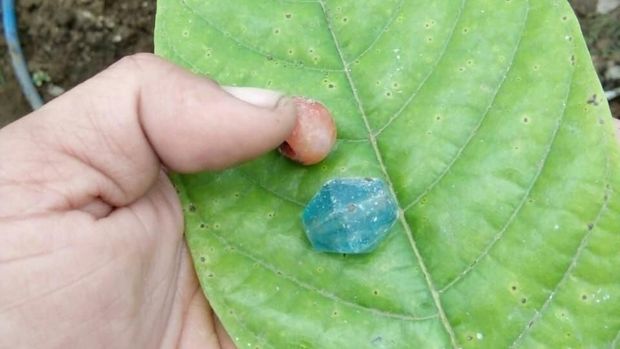 Tokoh Adat Dapat Bisikan, Benda Purbakala di Tabanan Ditemukan