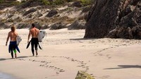 Nah selain wisata melihat Remarkable Rocks, di Pulau Kanguru traveler bisa bertemu kanguru, menikmati keindahan pantai hingga surfing (Tourism Kangaroo Island)