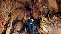 Taman Nasional Gua Mammoth di Kentucky, Amerika Serikat adalah gua sistem terpanjang di dunia. Memiliki luas 52.830 hektar atau sekitar 528,3 kilometer persegi, membuat gua ini dua kali lebih panjang dari gua sistem Sac Actun, gua bawah air yang terletak di Meksiko. Istimewa/Pinterest.com.