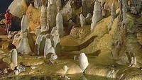 Taman Nasional Gua Carlsbad di New Meksiko, Amerika serikat merupakan gua dengan sebuah ruangan besar yang berisikan batu kapur alami. Gua ini menjadi salah satu destinasi andalan para wisatawan yang berkunjung ke New Meksiko. Istimewa/Pinterest.com.