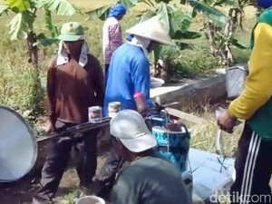 Ngurup, Tradisi Barter Ala Petani di Purworejo Saat Musim Panen