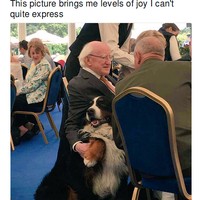 Presiden Higgins sering membawa kedua anjingnya, Brod dan Sioda di berbagai kesempatan. Masyarakat Irlandia melihat hal tersebut sangat menggemaskan. Foto: Twitter