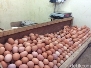 Gara-gara Harga Telur Naik, Konsumen Kurangi Porsi Pembelian
