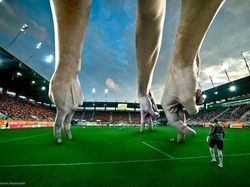 Karya Master Photoshop yang Bikin Terperangah