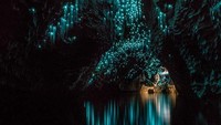 Gua Waitomo Glowworm di Waitomo, Selandia Baru ini adalah satu-satunya tempat di bumi dimana glowworm atau arachna luminosa dapat ditemukan. Gua ini bercahaya karena glowworm hidup berlimpah di dalam gua dan menghasilkan cahaya yang spektakuler menghiasi dinding dan langit-langit Gua Waitomo. Istimewa/Pinterest.com.