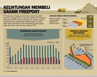 Setoran Pajak Freeport Rp 103 Triliun akan Mengalir ke RI