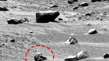 Tengkorak. Robot penjelajah Spirit pada tahun 2006 mengambil gambar obyek di permukaan Mars yang terlihat menyerupai tengkorak. Setelahnya juga ditemukan banyak obyek serupa, bahkan yang menyerupai tengkorak burung dan T-rex. Tapi semua obyek tersebut hanyalah sebuah batu. (Foto: NASA/JPL/Cornell)