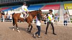 Gaya Sandi dan Mentan Berkuda Tinjau Venue Equestrian