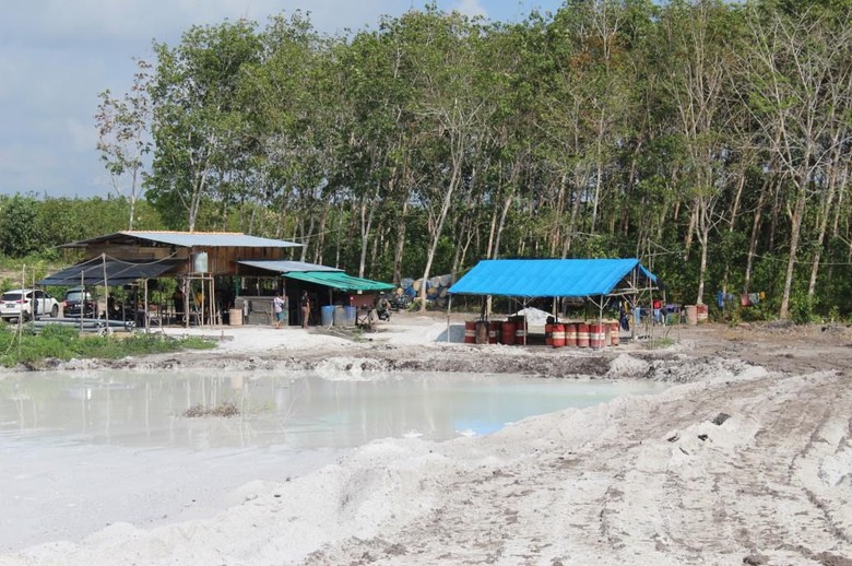 KLHK Tangkap Pelaku Tambang Timah Ilegal di Hutan Bangka Belitung KLHK Tangkap Pelaku Tambang Timah Ilegal di Hutan Bangka Belitung