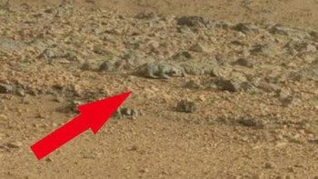 Tikus di Mars. Gambar obyek yang menyerupai tikus ini diambil oleh robot penjelajah Curiosity pada bulan Maret 2013. Gambar ini meghebohkan internet hingga ada yang membuat akun Twitter bernama @RealMarsRat. Lagi-lagi, tikus ini hanyalah sebuah batu. (Foto: NASA/JPL)