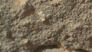 Bunga. Obyek misterius yang terlihat seperti bunga ini ditemukan di foto yang diambil oleh Curiosity pada tahun 2012. Ilmuwan belum mengetahui apa sesungguhnya obyek ini, namun dapat dipastikan bahwa obyek ini bukan merupakan obyek biologis. (Foto: NASA/JPL-Caltech/Malin Space Science Systems)