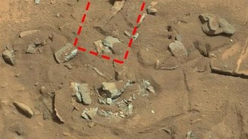 Tulang paha. Pada bulan Januari 2014, kelompok penggemar alien mengira mereka menemukan tulang paha di foto yang diambil oleh robot penjelajah Curiosity. Namun, obyek ini ternyata hanya sebuah batu. (Foto: NASA/JPL)  