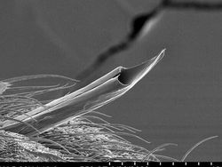 Bikin Terperangah! Ketika Benda-benda Dilihat dari Mikroskop