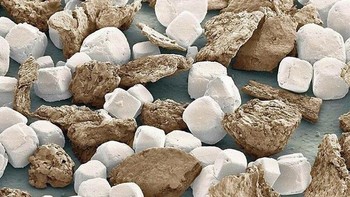 Garam dan merica. Foto: instagram.com/pod_microscope