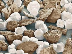 Bikin Terperangah! Ketika Benda-benda Dilihat dari Mikroskop